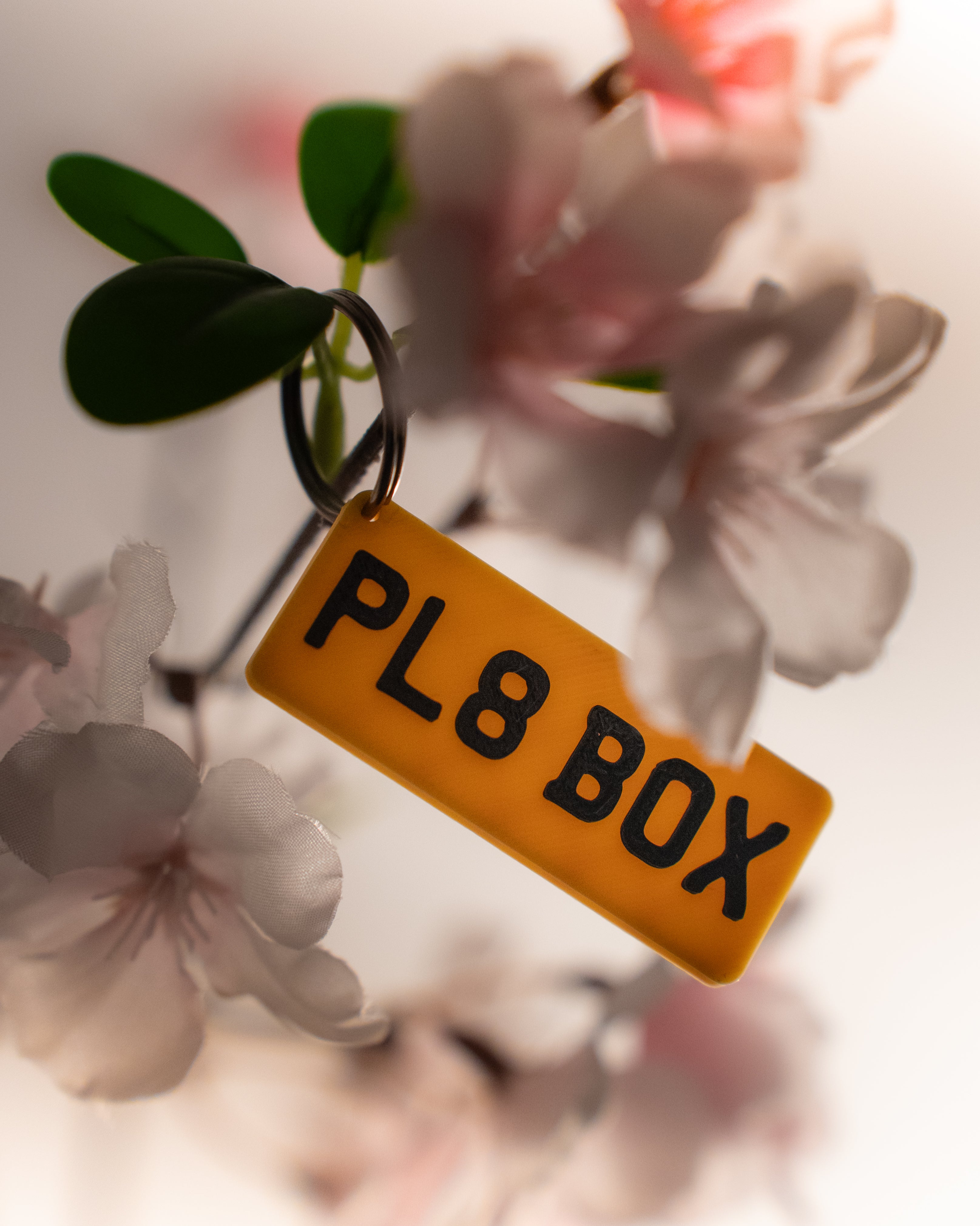 Custom UK Number Plate Key Ring - Set