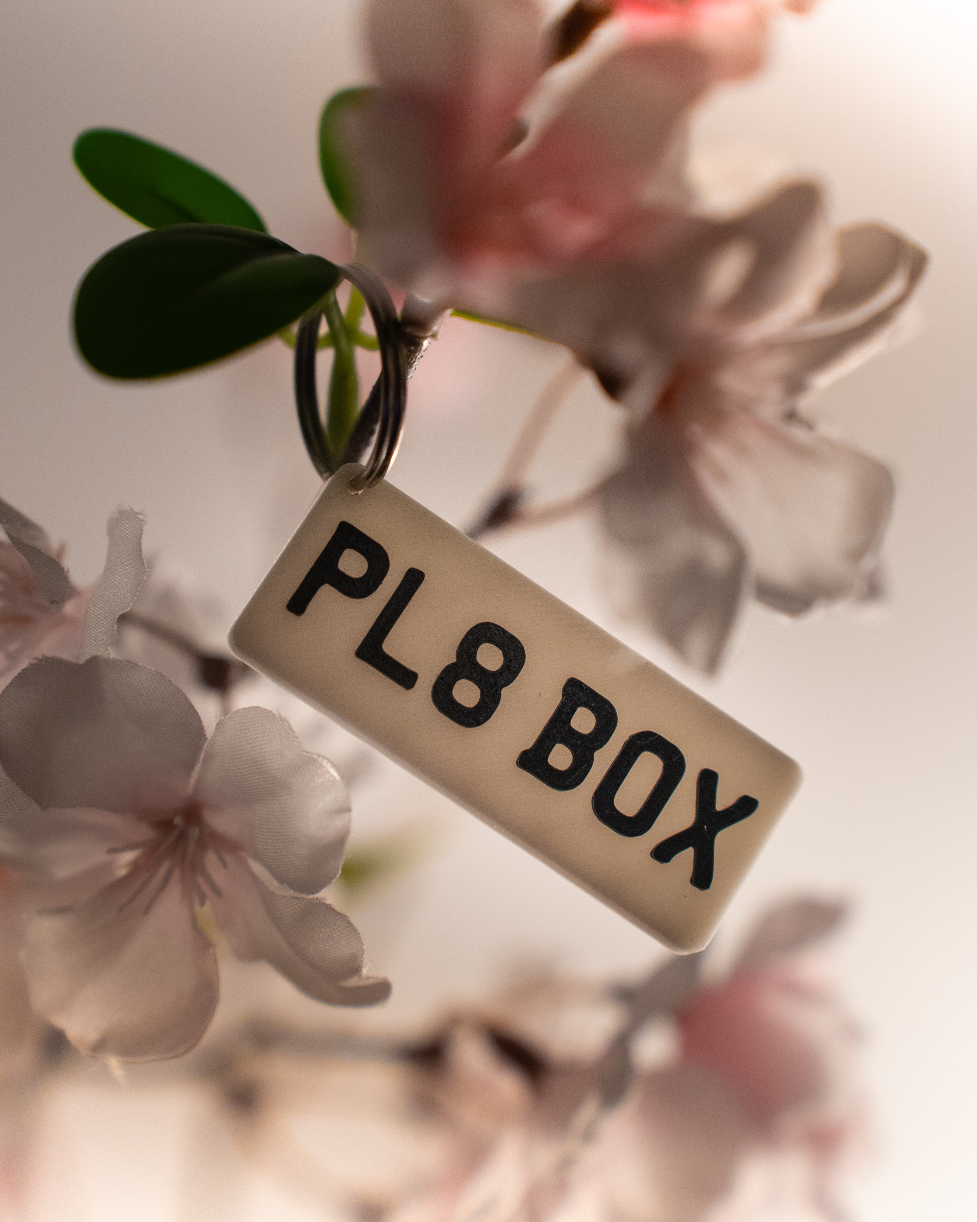 Custom UK Number Plate Key Ring - Set